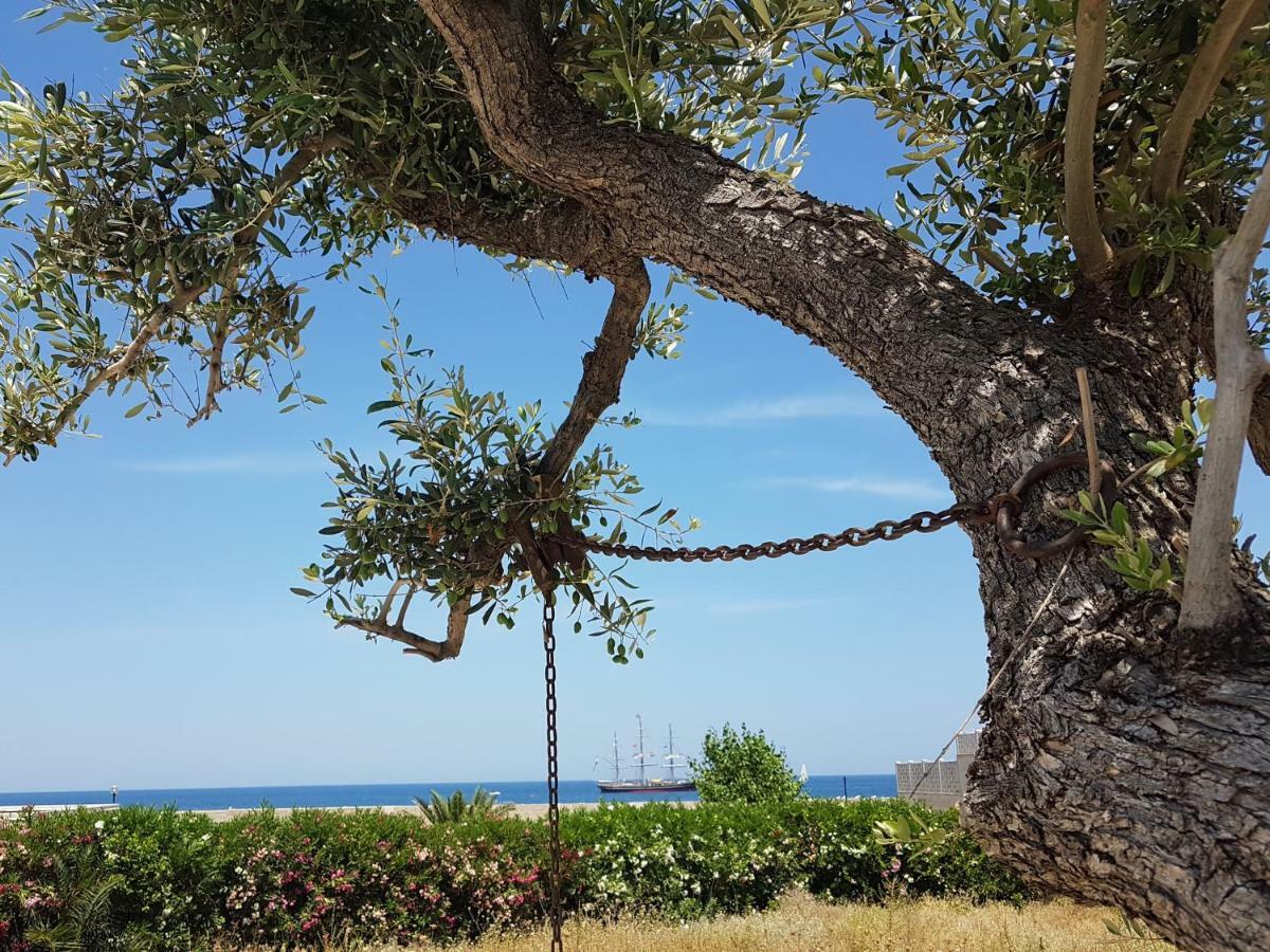 Bed & Breakfast Del Faro Giovinazzo Dış mekan fotoğraf